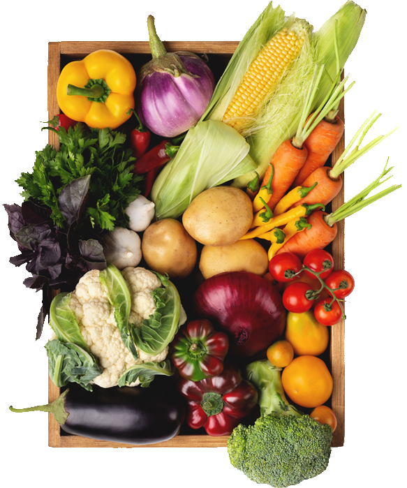 Company History Valley Fruit and Produce